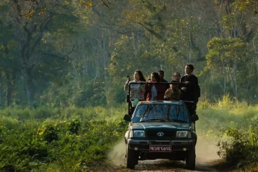 chitwan-national-park-Chitwan Safari