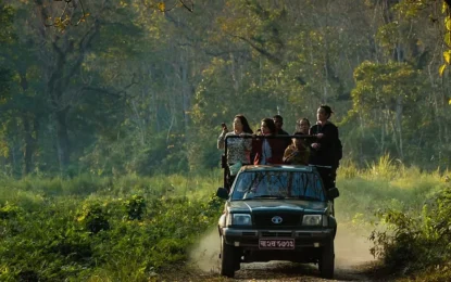 Chitwan Safari Wildlife Experience: Rhinos, Tigers & Exotic Birds
