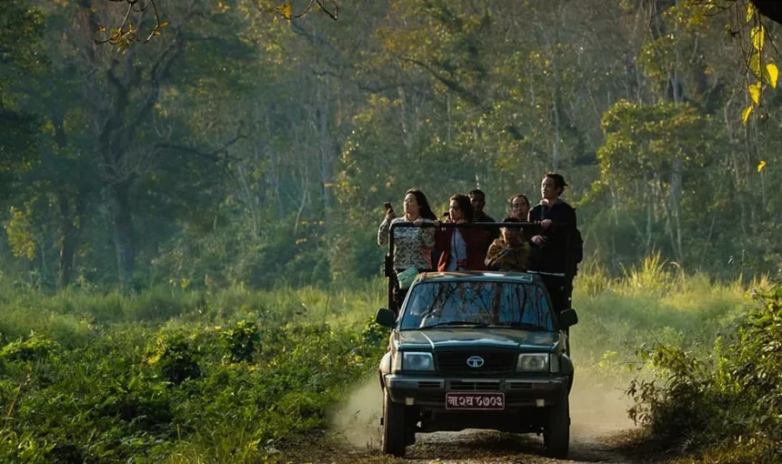 Chitwan Safari Wildlife Experience: Rhinos, Tigers & Exotic Birds