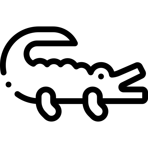 crocodile