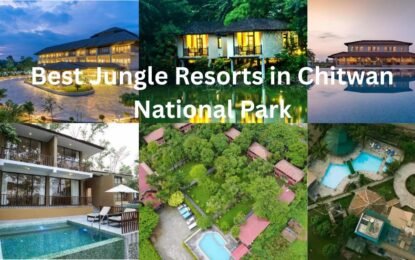 Best Jungle Resorts in Chitwan National Park