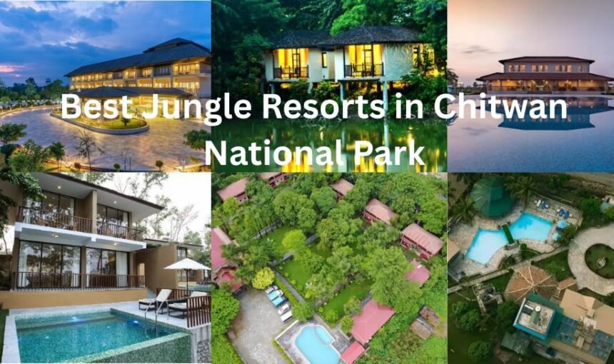 Best Jungle Resorts in Chitwan National Park