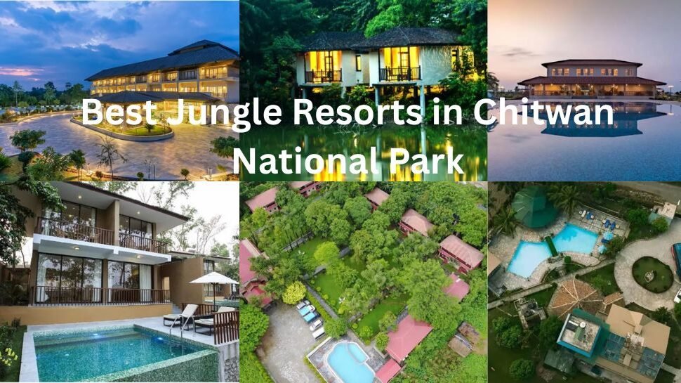 Best Jungle Resorts in Chitwan