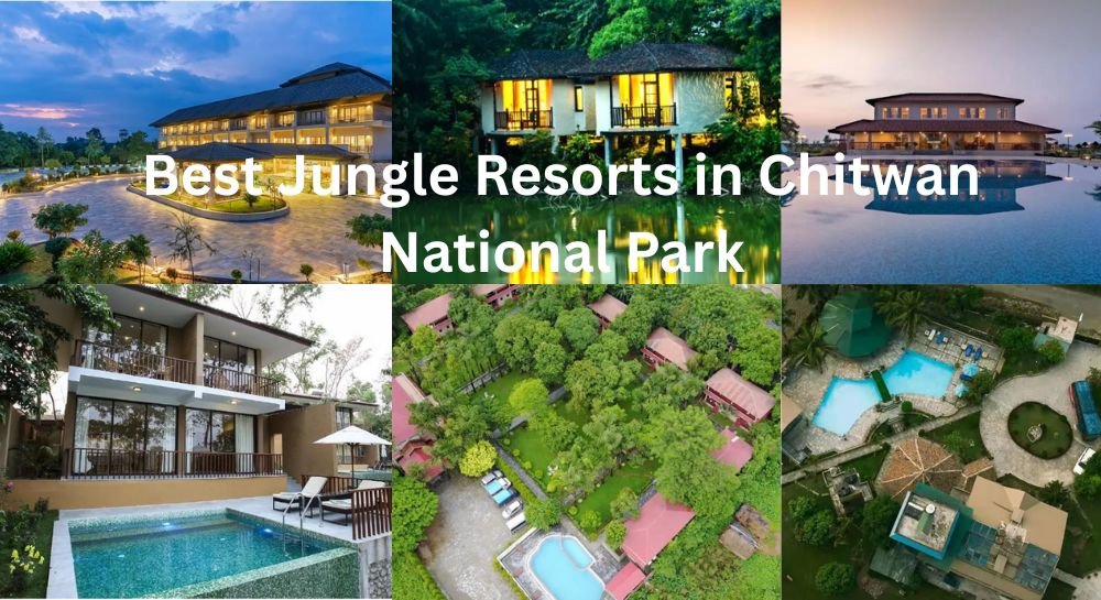 Best Jungle Resorts in Chitwan