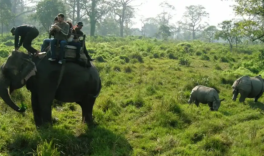 Chitwan Jungle Safari vs Bardia National Park: Which One Is Better?