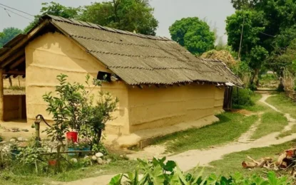 Tharu Culture & Village Tour: Beyond the Chitwan Safari