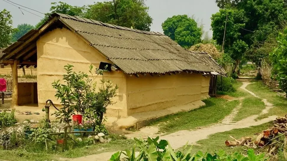 Tharu Culture & Village Tour