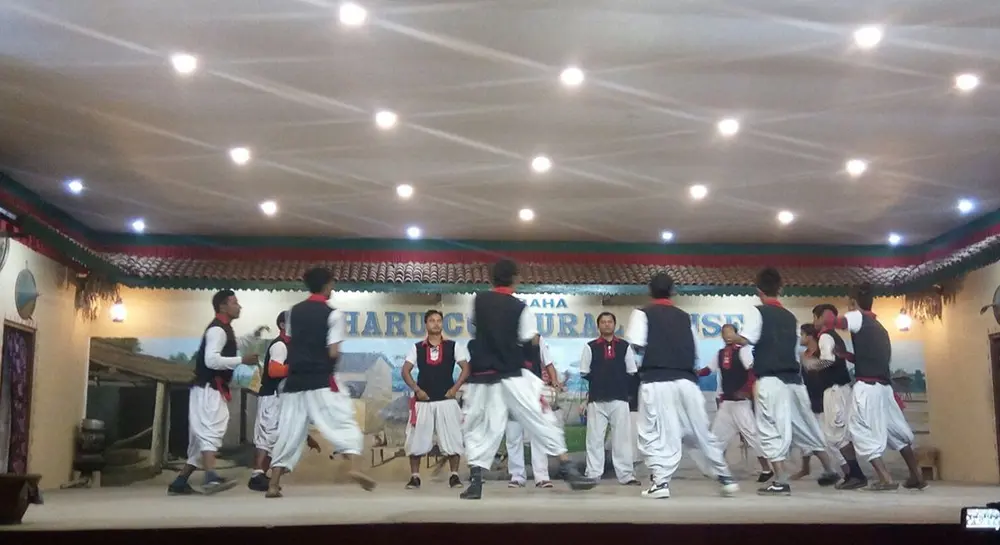 Tharu Culture and Chitwan Tour