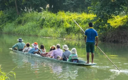 Top 5 Reasons to Visit Chitwan National Park in Winter