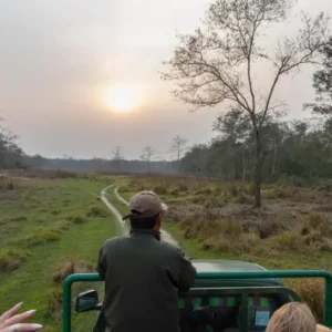 jeep safari in chitwan national park