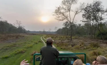 jeep safari in chitwan national park