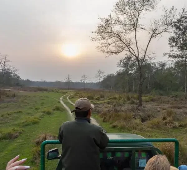 jeep safari in chitwan national park