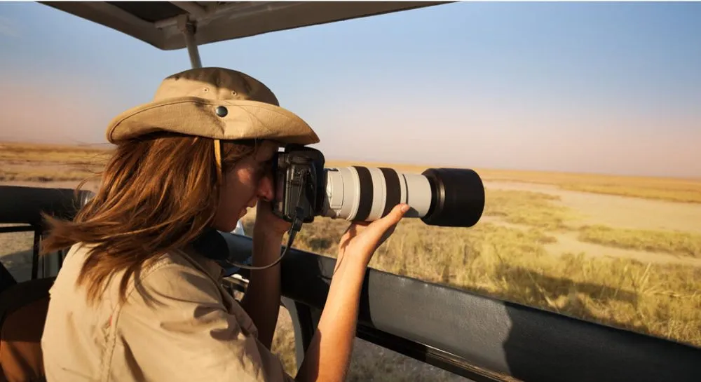 Photography Tips for Your Jungle Safari