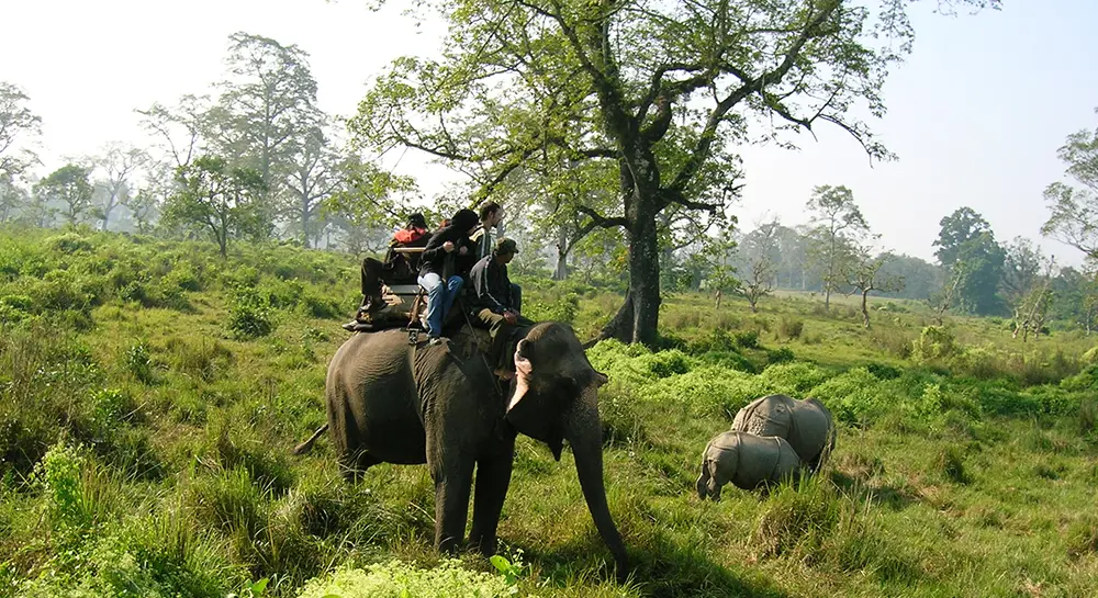 Elephant Safari in Chitwan .