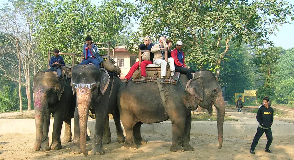Elephant Safari in Chitwan