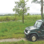 Summer in Chitwan (March–June)_chitwanjunglesafaritour
