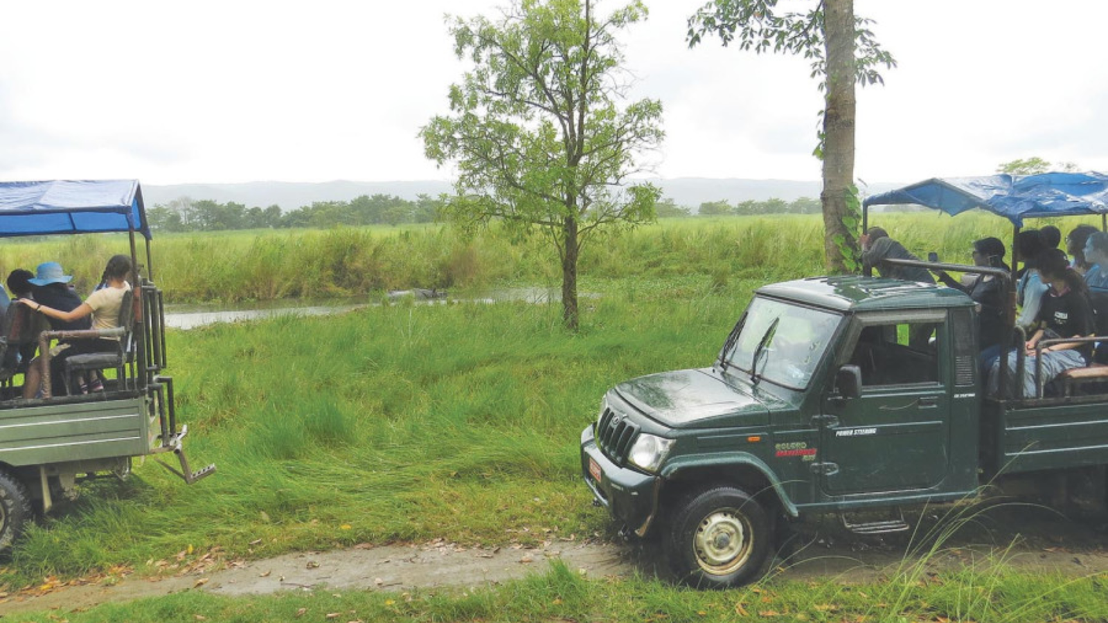 Summer in Chitwan (March–June)_chitwanjunglesafaritour