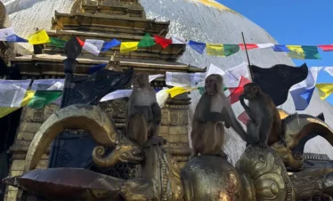 Swyambhu Nath- The monkey temple