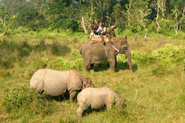Chitwan National Park Tourism Updates