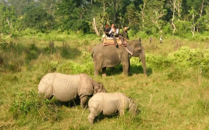 Chitwan National Park Tourism Updates 2026