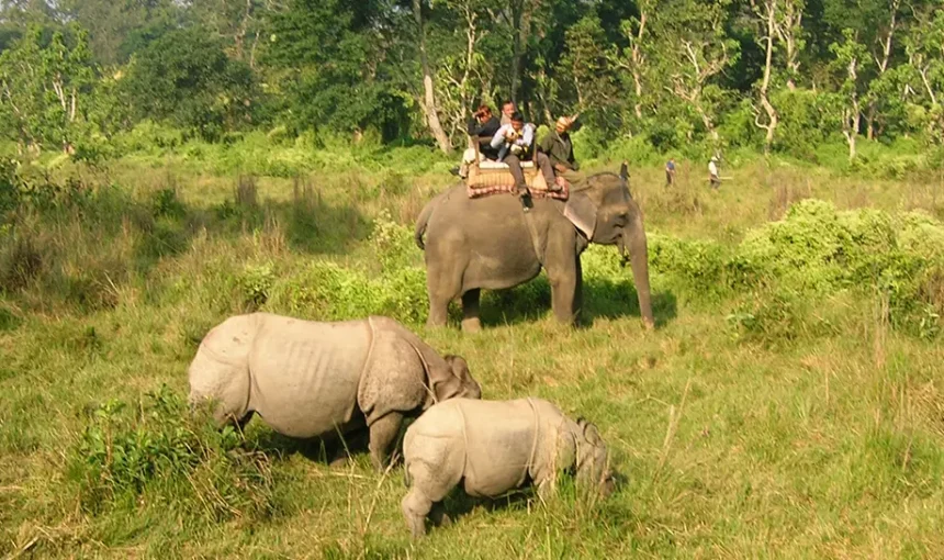 Chitwan National Park Tourism Updates 2026
