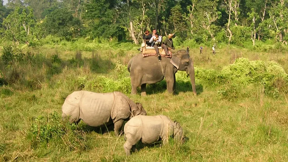 Chitwan National Park Tourism Updates