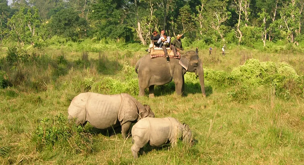 Chitwan National Park Tourism Updates
