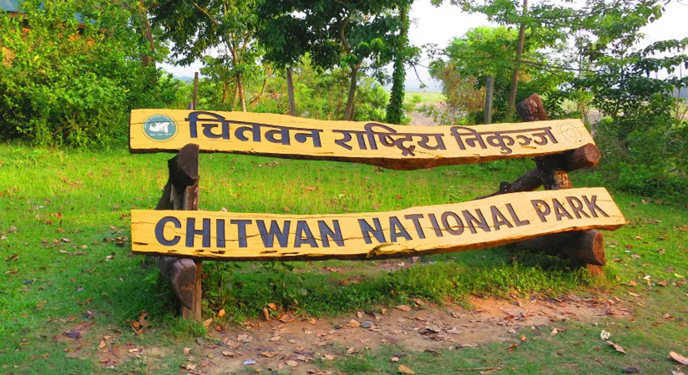 chitwan national park updates