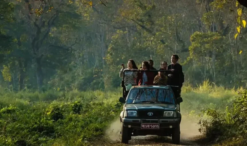 Chitwan Jungle Safari Day Tour
