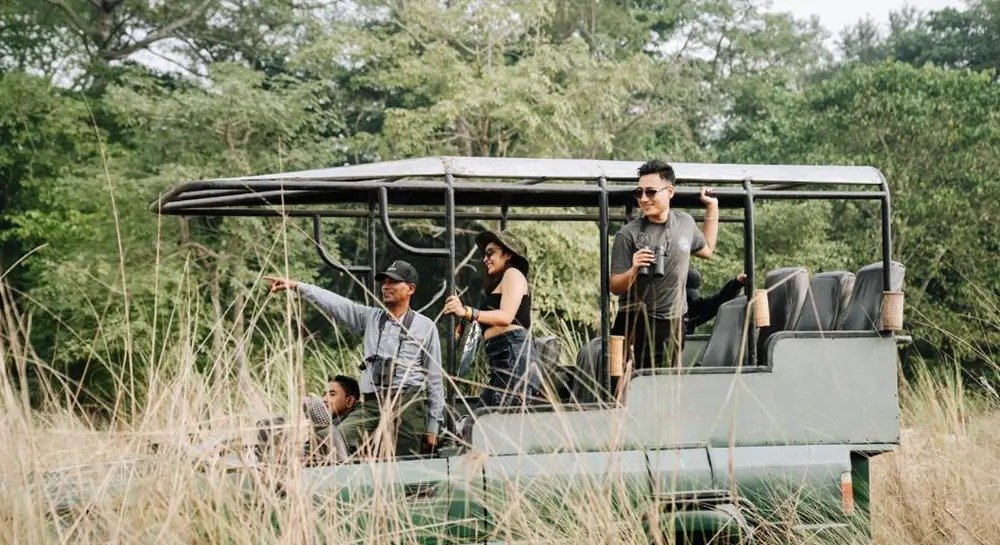 Group safari in open vehicle through Chitwan tall grass