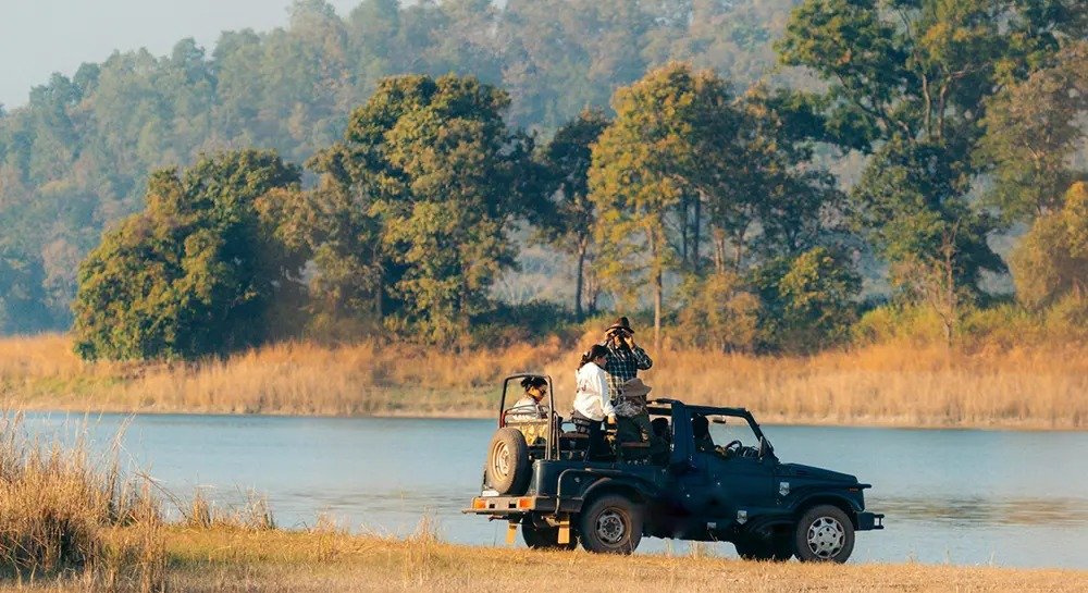 Private jeep safari by the river in Chitwan