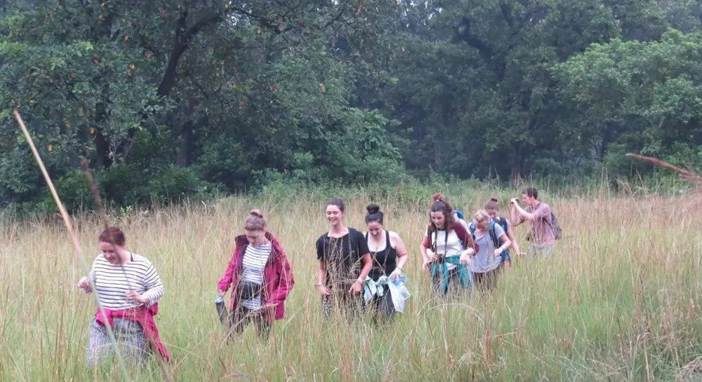 Walking tour group trekking through Chitwan grassland