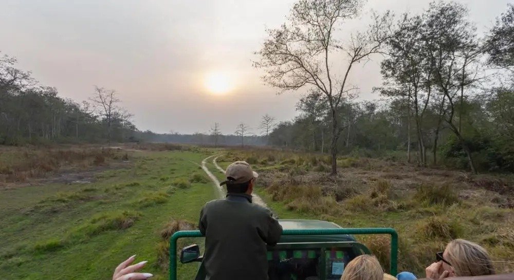 Jeep safari at sunrise in Chitwan National Park