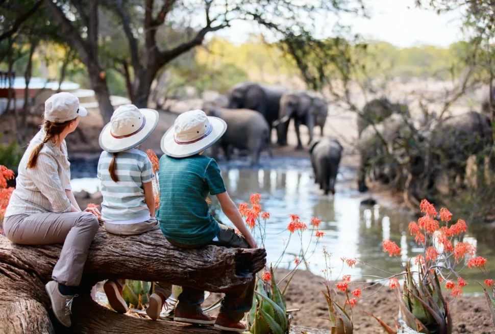 Why not wear white on safari