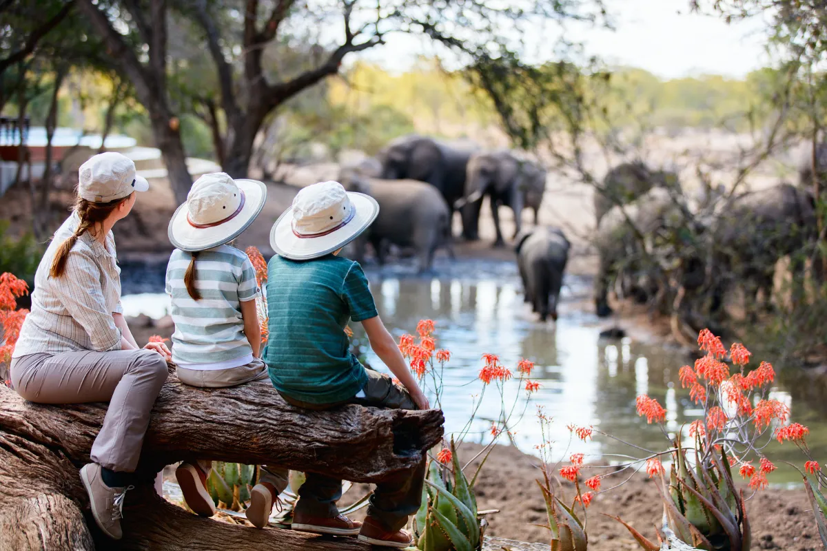 Why not wear white on safari