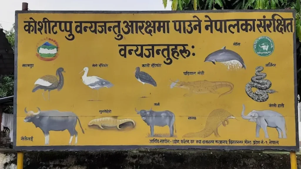 Koshi Tappu Wildlife Reserve