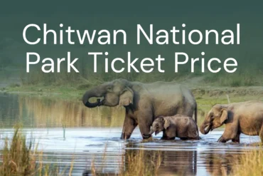 Chitwan National Park Ticket Price - Chitwan Jungle Safari Tour