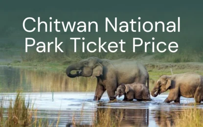 Chitwan National Park Ticket Price
