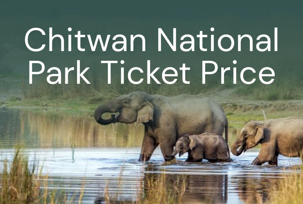 Chitwan National Park Ticket Price - Chitwan Jungle Safari Tour