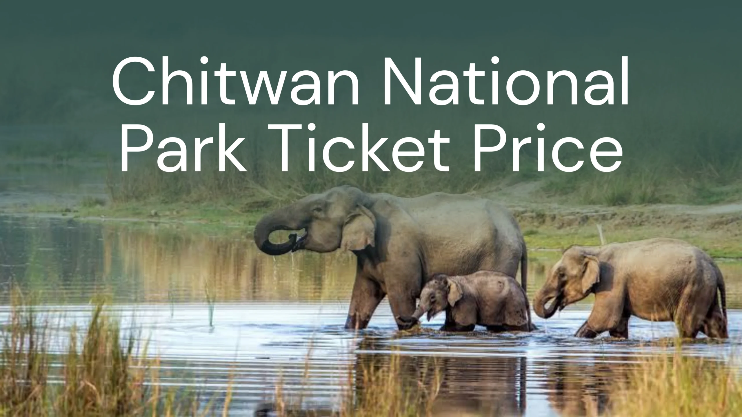 Chitwan National Park Ticket Price - Chitwan Jungle Safari Tour