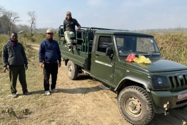 Jeep Safari in Chitwan National Park Reopens From Friday