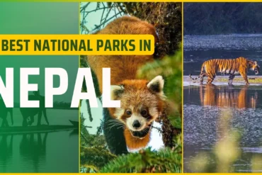 Top 10 National Parks of Nepal: Best Wildlife & Safari Destinations