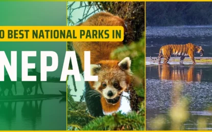Top 10 National Parks of Nepal: Best Wildlife & Safari Destinations