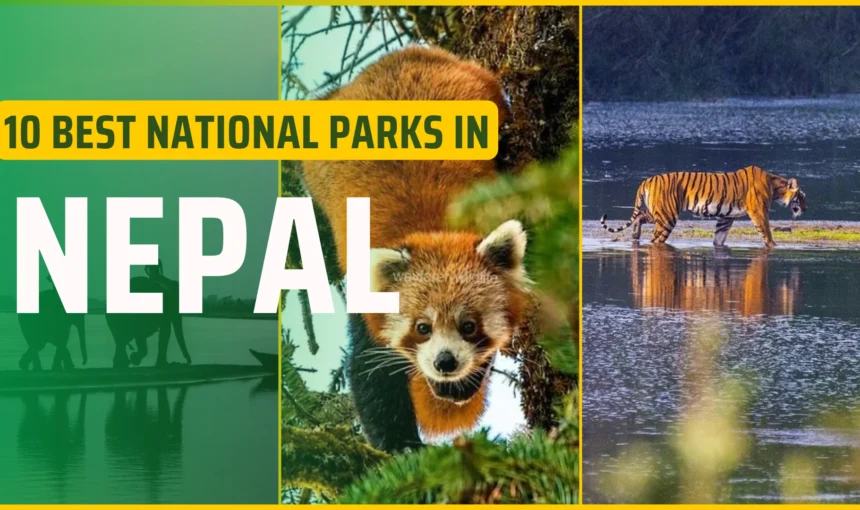 Top 10 National Parks of Nepal: Best Wildlife & Safari Destinations