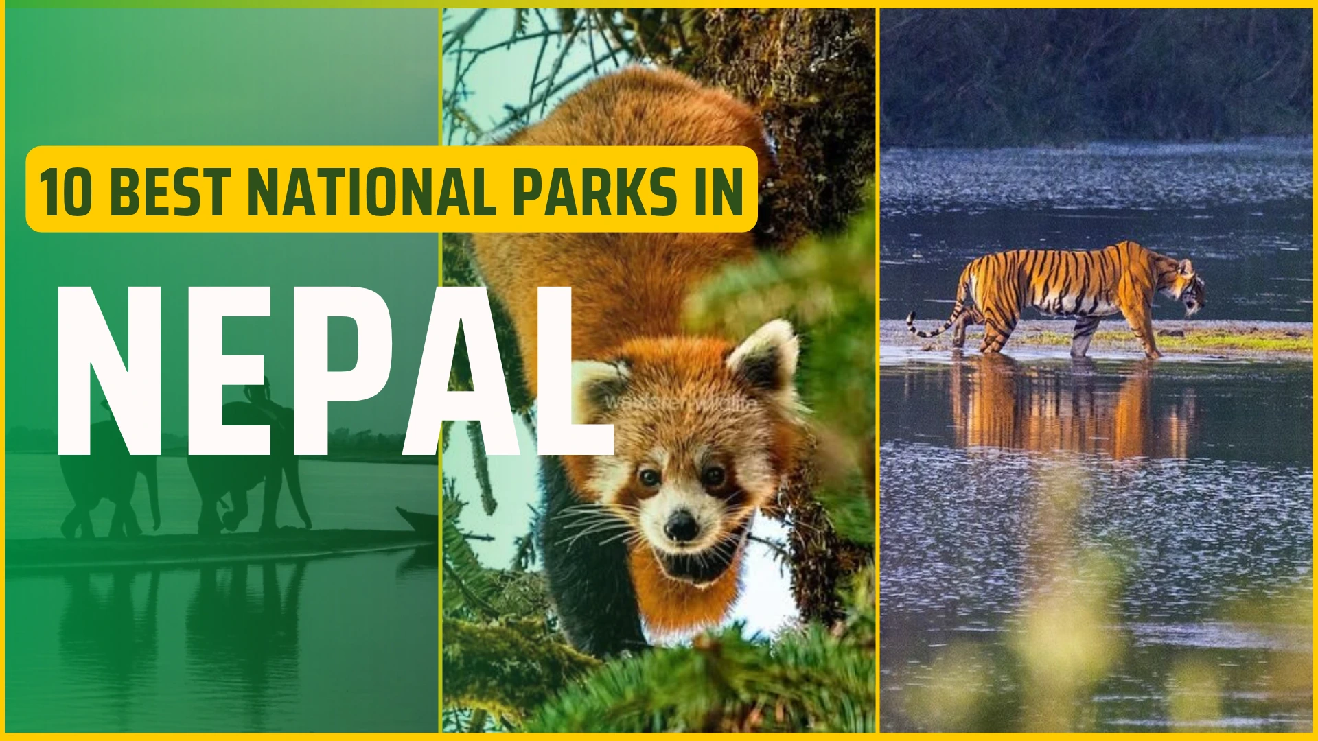 Top 10 National Parks of Nepal: Best Wildlife & Safari Destinations